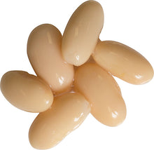 Cento Cannellini Beans 19 OZ thumbnail